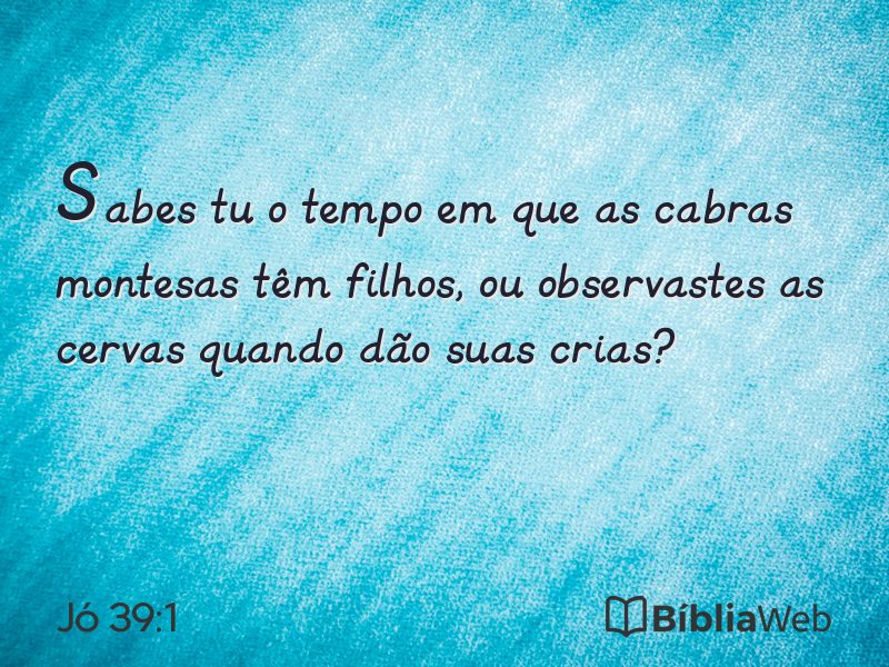 Jó 39:1 em imagem para compartilhar