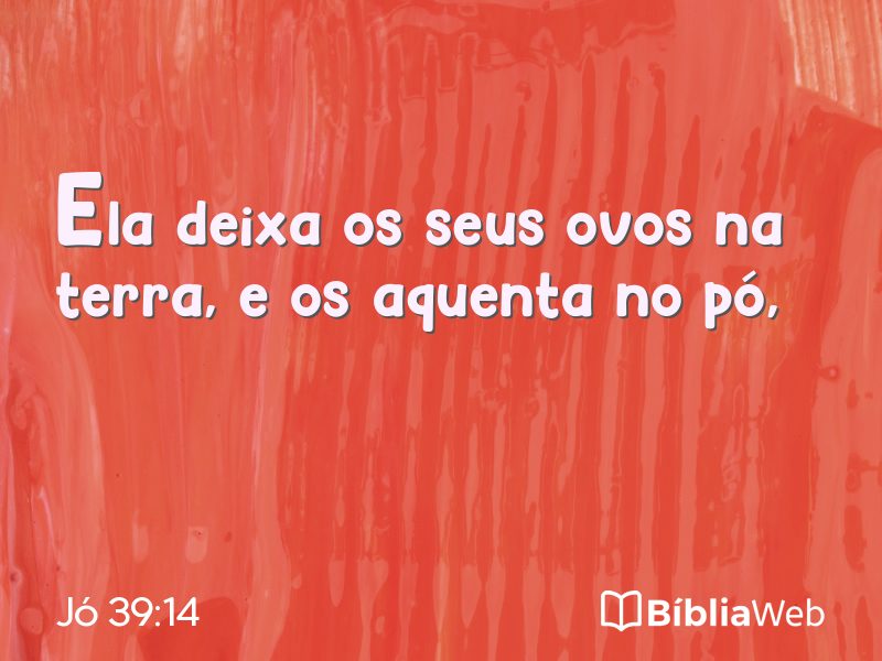 Jó 39:14 em imagem para compartilhar