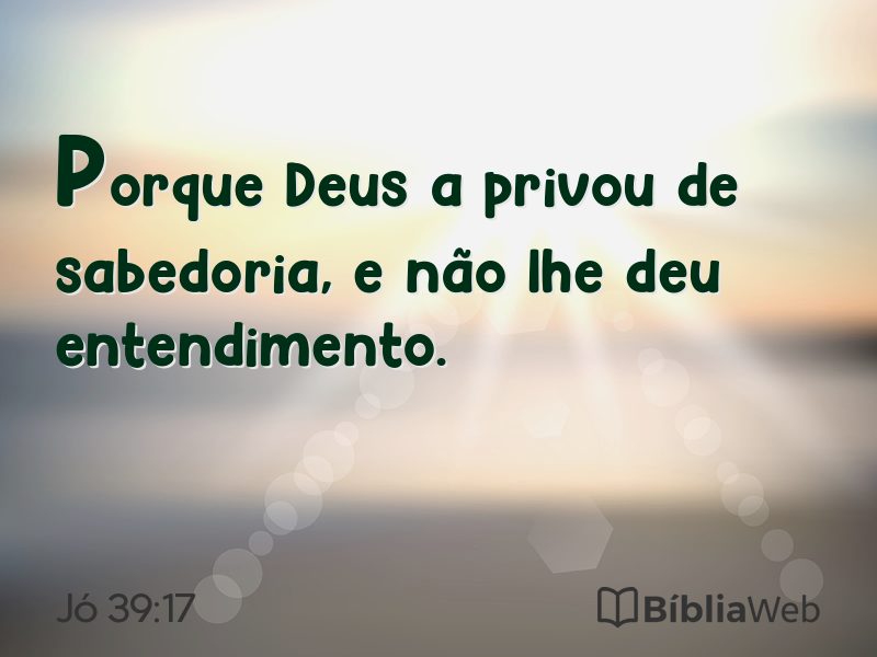 Jó 39:17 em imagem para compartilhar