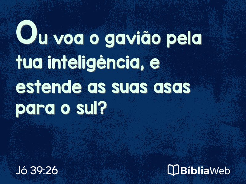 Jó 39:26 em imagem para compartilhar
