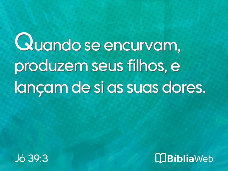 Jó 39:3 em imagem para compartilhar
