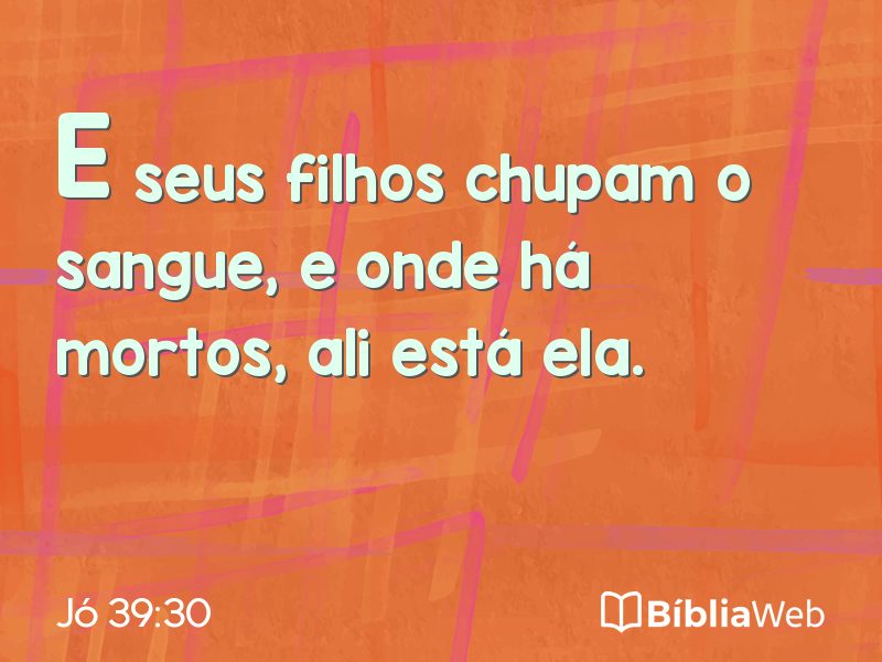 Jó 39:30 em imagem para compartilhar