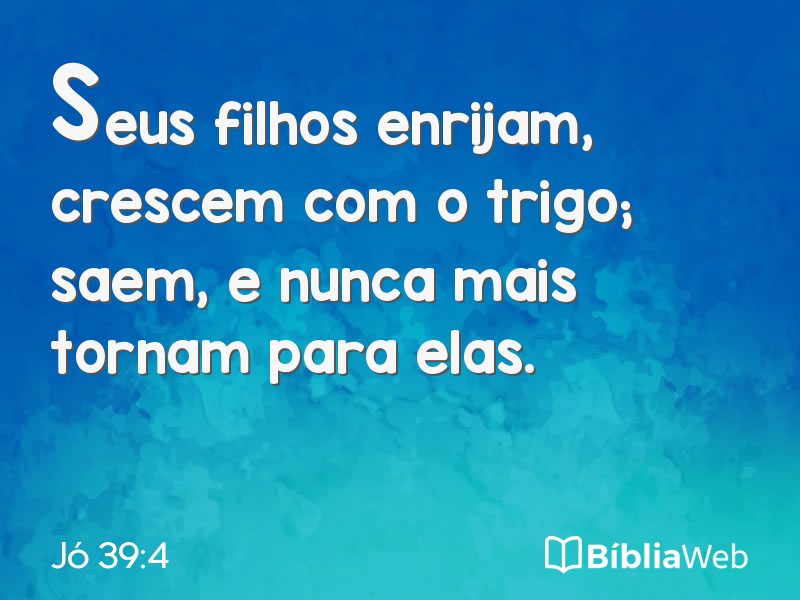 Jó 39:4 em imagem para compartilhar