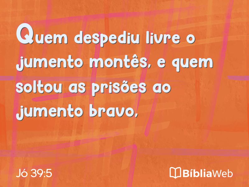 Jó 39:5 em imagem para compartilhar