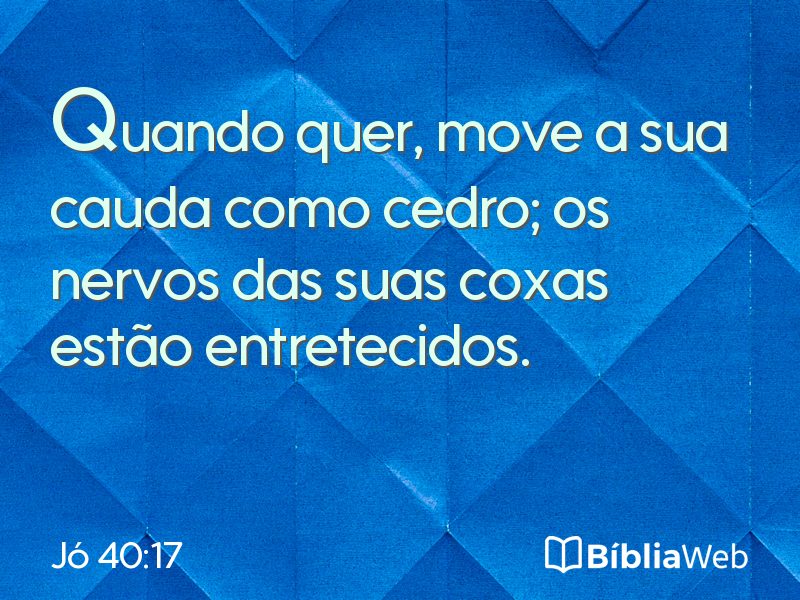 Jó 40:17 em imagem para compartilhar