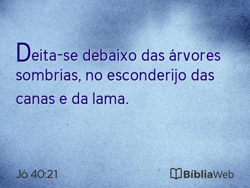 Jó 40:21 em imagem para compartilhar