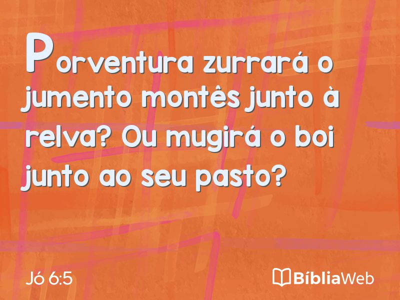 Jó 6:5 em imagem para compartilhar