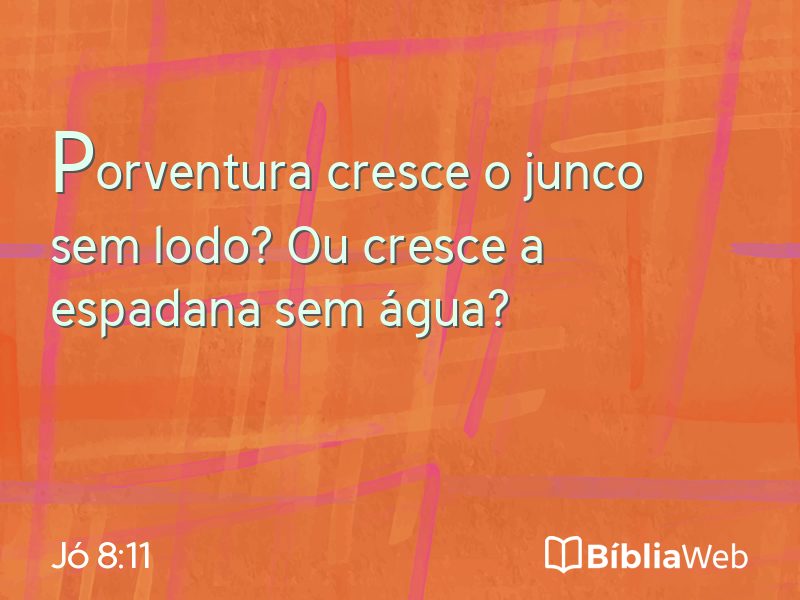 Jó 8:11 em imagem para compartilhar