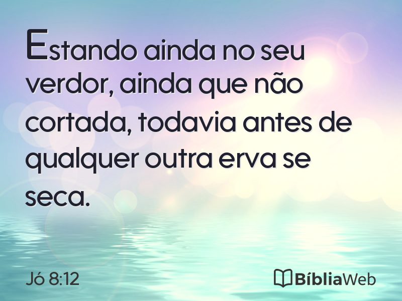 Jó 8:12 em imagem para compartilhar