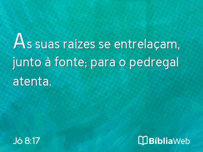 Jó 8:17 em imagem para compartilhar