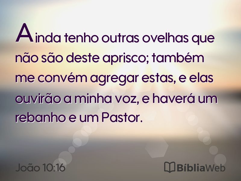 João 10:16 em imagem para compartilhar
