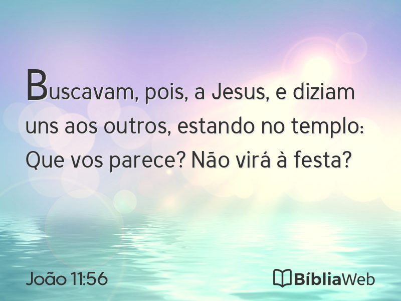 João 11:56 em imagem para compartilhar