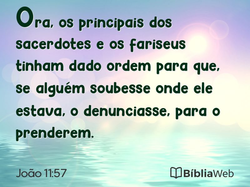 João 11:57 em imagem para compartilhar