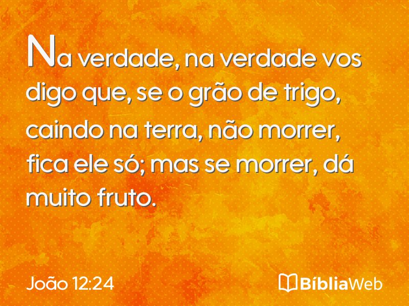 João 12:24 em imagem para compartilhar