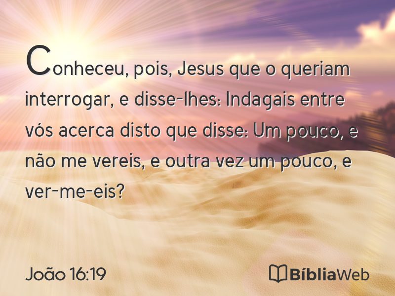 João 16:19 em imagem para compartilhar