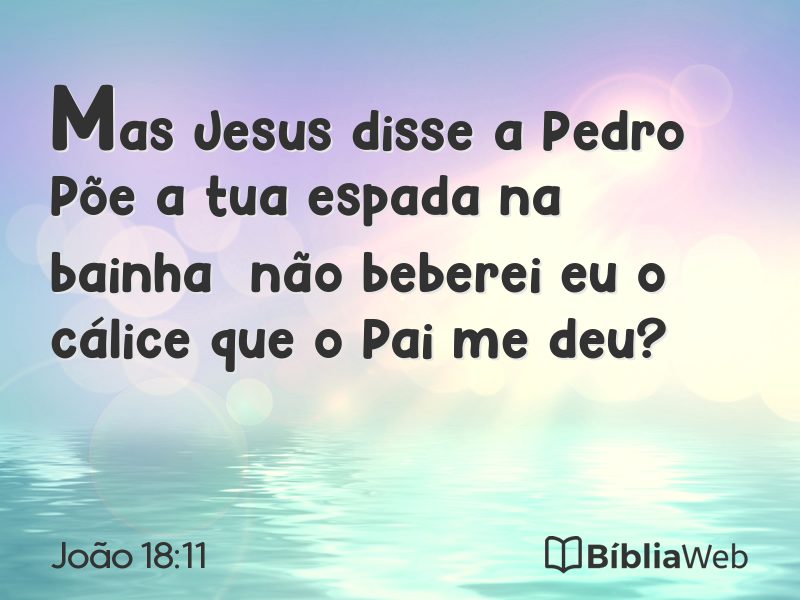 João 18:11 em imagem para compartilhar
