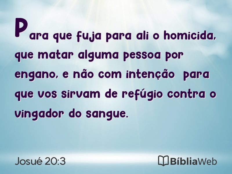 Josué 20:3 em imagem para compartilhar