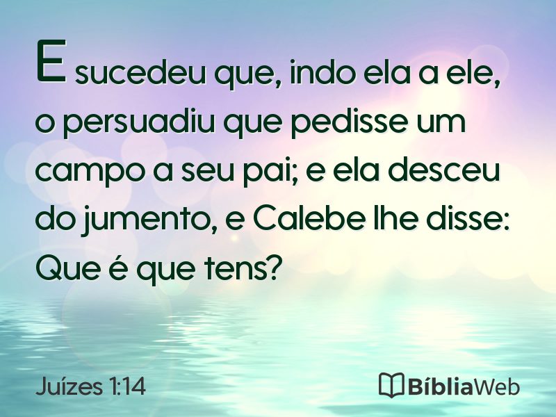 Juízes 1:14 em imagem para compartilhar