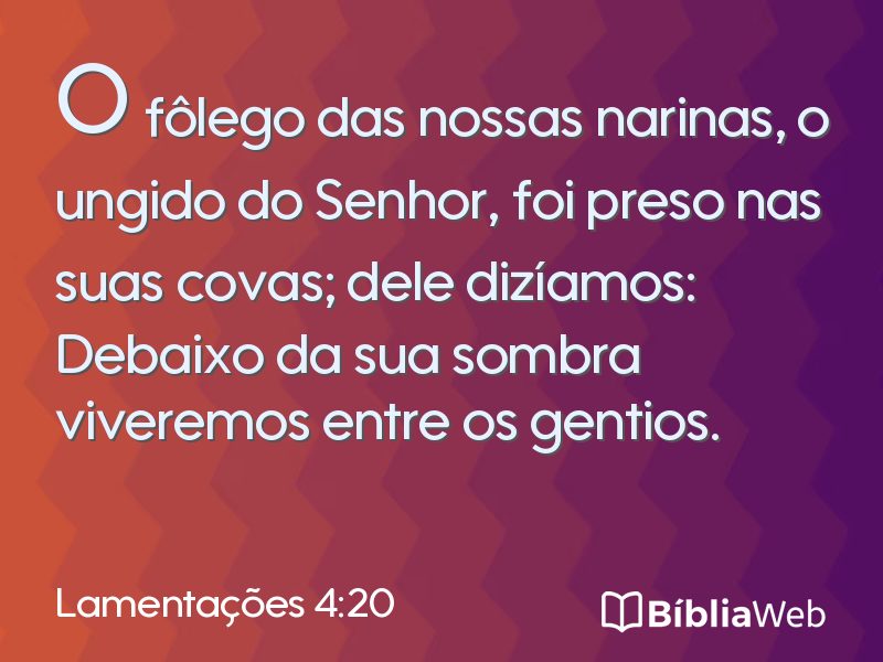 Lamentações 4:20 em imagem para compartilhar