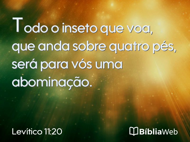 Levítico 11:20 em imagem para compartilhar
