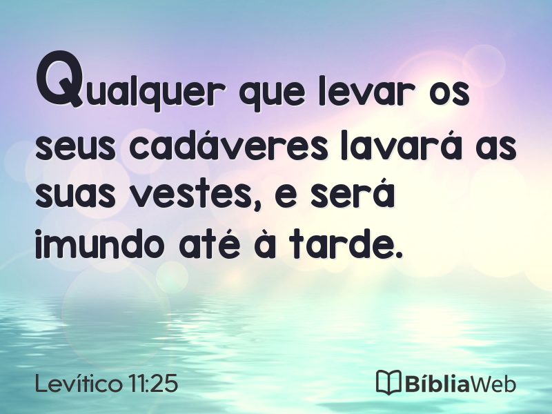 Levítico 11:25 em imagem para compartilhar