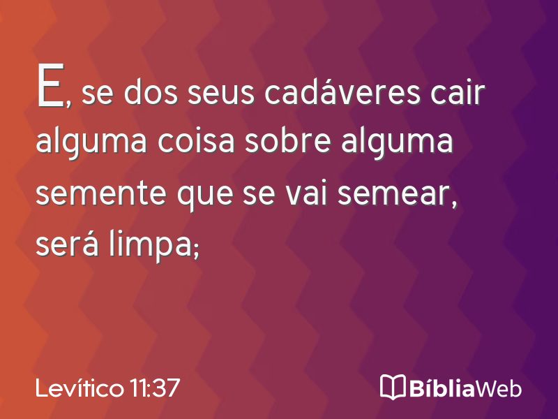 Levítico 11:37 em imagem para compartilhar
