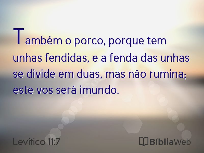 Levítico 11:7 em imagem para compartilhar