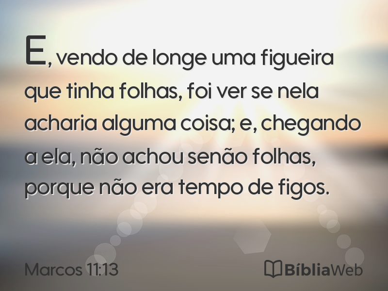 Marcos 11:13 em imagem para compartilhar
