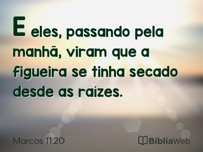 Marcos 11:20 em imagem para compartilhar
