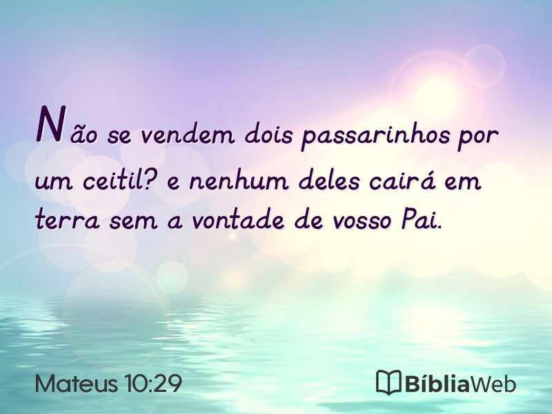 Mateus 10:29 em imagem para compartilhar
