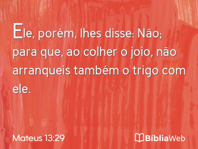 Mateus 13:29 em imagem para compartilhar