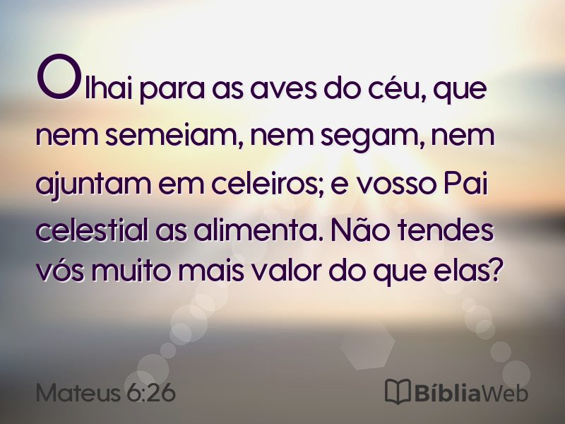 Mateus 6:26 em imagem para compartilhar