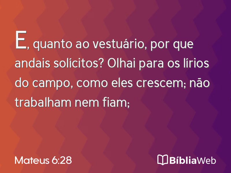 Mateus 6:28 em imagem para compartilhar