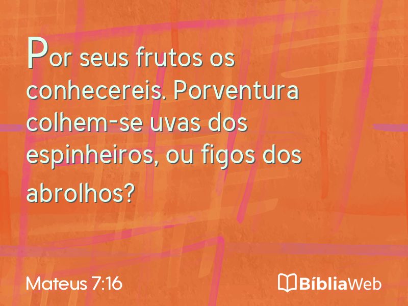 Mateus 7:16 em imagem para compartilhar
