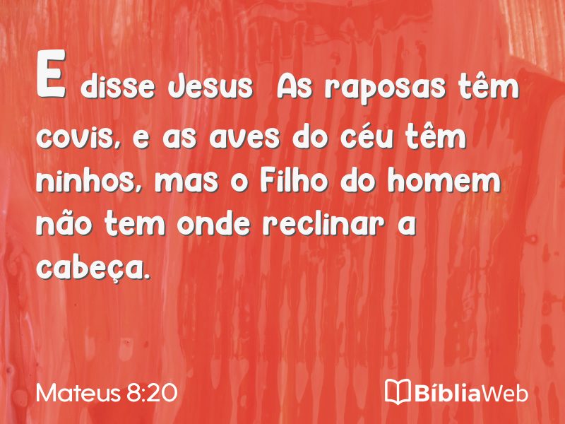 Mateus 8:20 em imagem para compartilhar