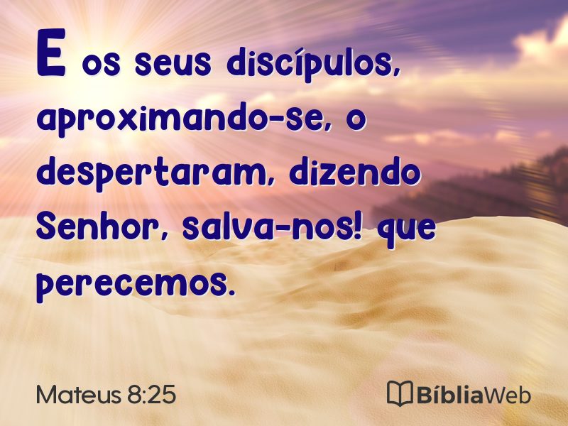 Mateus 8:25 em imagem para compartilhar