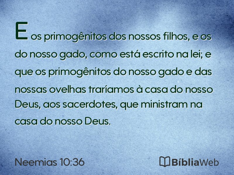 Neemias 10:36 em imagem para compartilhar