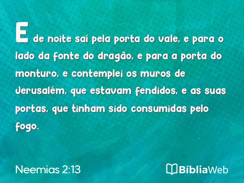 Neemias 2:13 em imagem para compartilhar