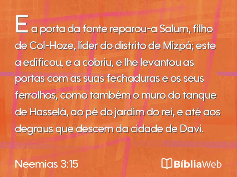 Neemias 3:15 em imagem para compartilhar