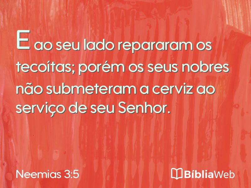 Neemias 3:5 em imagem para compartilhar