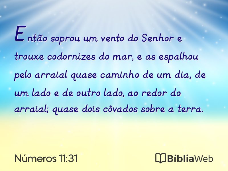 Números 11:31 em imagem para compartilhar