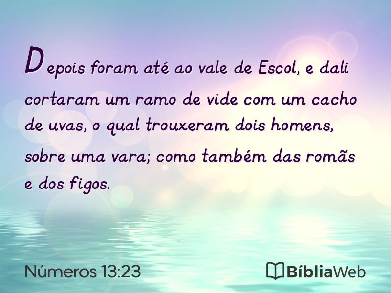 Números 13:23 em imagem para compartilhar
