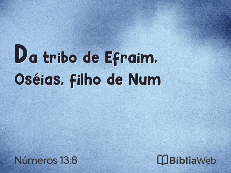 Números 13:8 em imagem para compartilhar