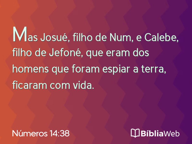 Números 14:38 em imagem para compartilhar