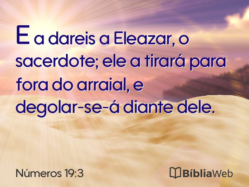 Números 19:3 em imagem para compartilhar