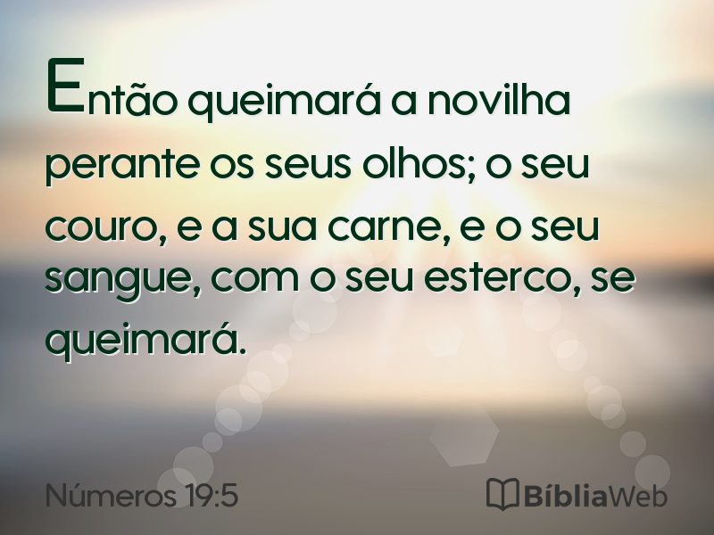 Números 19:5 em imagem para compartilhar