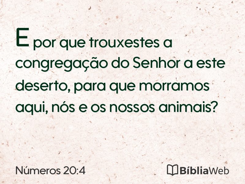 Números 20:4 em imagem para compartilhar