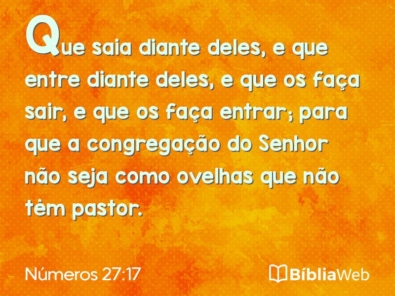 Números 27:17 em imagem para compartilhar