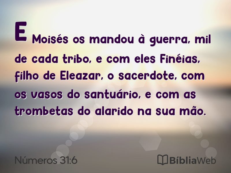 Números 31:6 em imagem para compartilhar