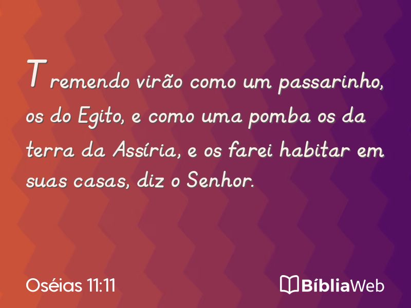 Oséias 11:11 em imagem para compartilhar